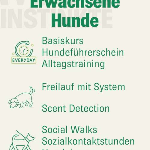 Hundeauslaufgebiet-Wolf's Instinkte - Deine Hundeschule-Bild