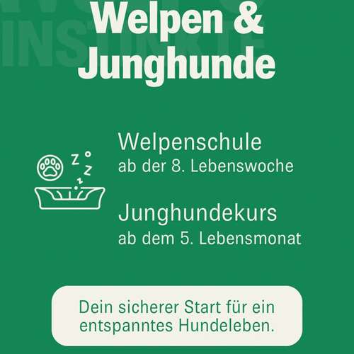 Hundeauslaufgebiet-Wolf's Instinkte - Deine Hundeschule-Bild