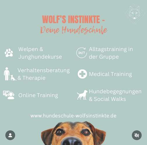 Hundeauslaufgebiet-Wolf's Instinkte - Deine Hundeschule-Bild