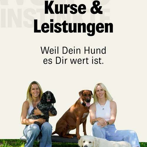 Hundeauslaufgebiet-Wolf's Instinkte - Deine Hundeschule-Bild