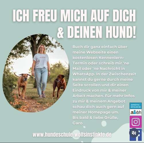 Hundeauslaufgebiet-Wolf's Instinkte - Deine Hundeschule-Bild