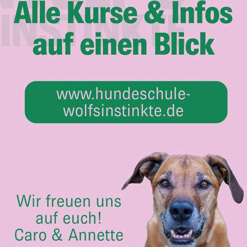 Hundeauslaufgebiet-Wolf's Instinkte - Deine Hundeschule-Bild