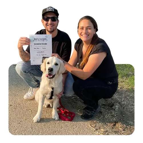Hundeauslaufgebiet-Wolf's Instinkte - Deine Hundeschule-Bild