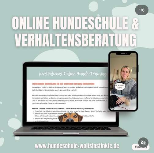 Hundeauslaufgebiet-Wolf's Instinkte - Deine Hundeschule-Bild