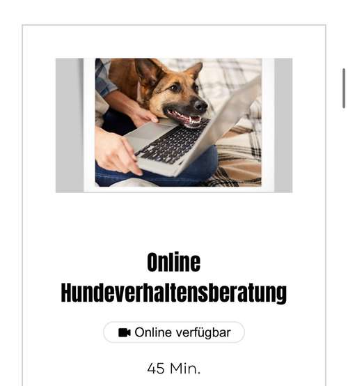 Hundeauslaufgebiet-Wolf's Instinkte - Deine Hundeschule-Bild