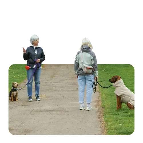 Hundeauslaufgebiet-Wolf's Instinkte - Deine Hundeschule-Bild
