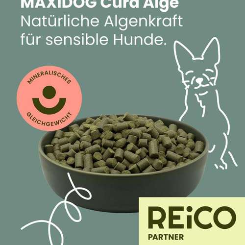 Hundeauslaufgebiet-Monikas Reico Vital-Bild