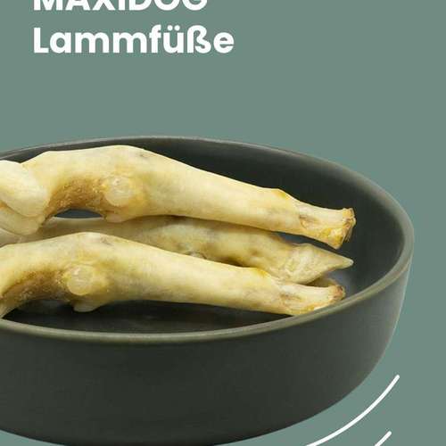 Hundeauslaufgebiet-Monikas Reico Vital-Bild