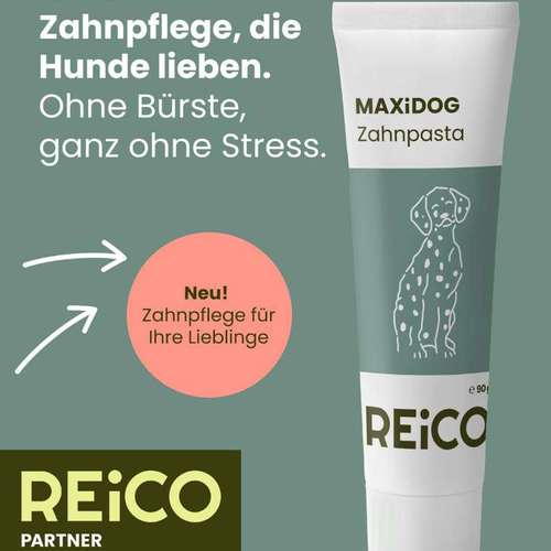 Hundeauslaufgebiet-Monikas Reico Vital-Bild