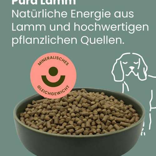 Hundeauslaufgebiet-Monikas Reico Vital-Bild