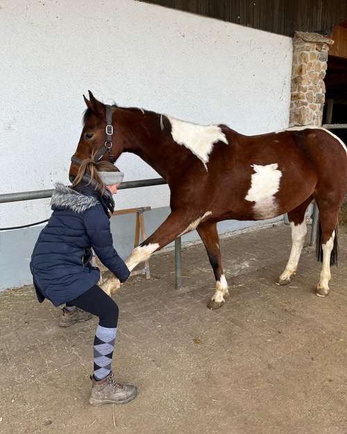 Hundeauslaufgebiet-Tiertherapie Ina Bradatsch-Bild