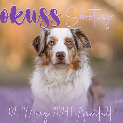 Hundeauslaufgebiet-Bänsch Fotografie-Bild