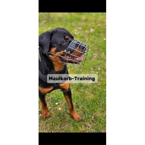 Hundeauslaufgebiet-Hundeschule Frankfurt Claudia Mantke-Bild