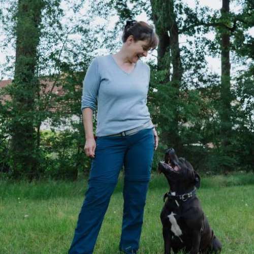 Hundeauslaufgebiet-Hundeschule Frankfurt Claudia Mantke-Bild