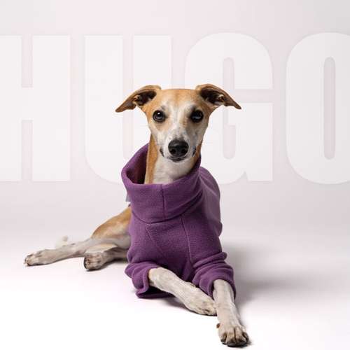 Hundeauslaufgebiet-Carlo Quast Fotografie-Bild