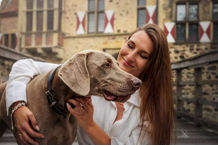 Hundeauslaufgebiet-Nadine Grove Fotografie-Bild