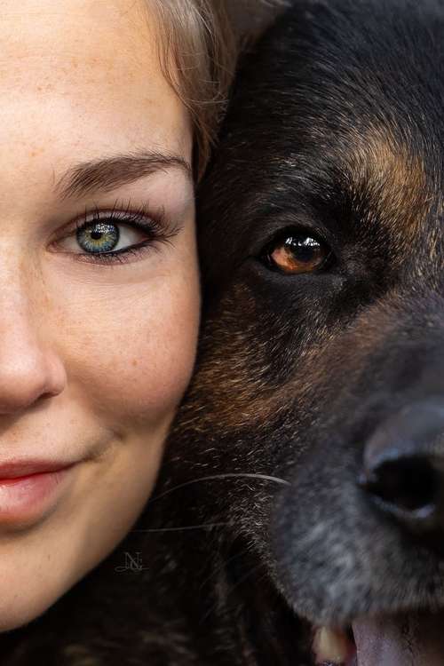 Hundeauslaufgebiet-Nadine Grove Fotografie-Bild