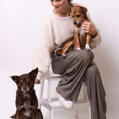 Hundeauslaufgebiet-Luna Lernt-Bild