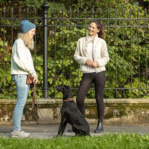 Hundeauslaufgebiet-Luna Lernt-Bild