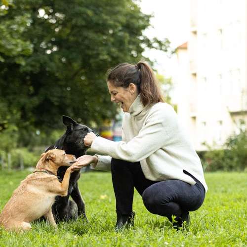 Hundeauslaufgebiet-Luna Lernt-Bild