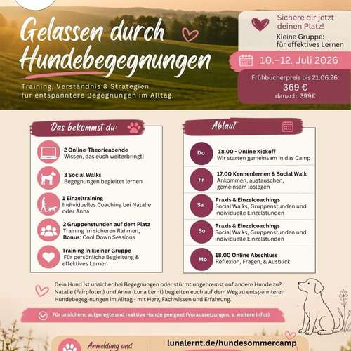 Hundeauslaufgebiet-Luna Lernt-Bild