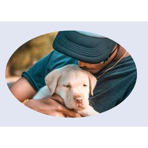 Hundeauslaufgebiet-Faszination Hunde Hundetraining-Bild