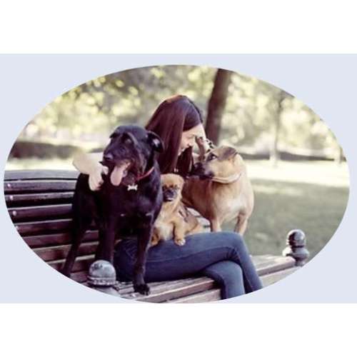 Hundeauslaufgebiet-Faszination Hunde Hundetraining-Bild