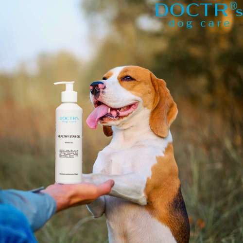 Hundeauslaufgebiet-DOCTR's pet care-Bild