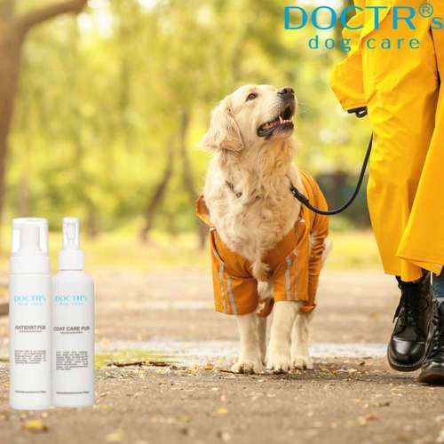 Hundeauslaufgebiet-DOCTR's pet care-Bild