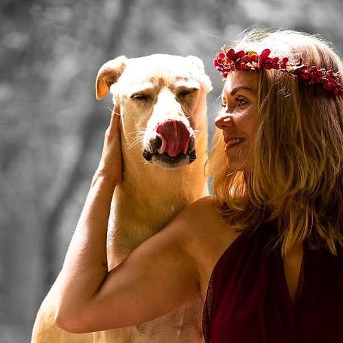 Hundeauslaufgebiet-Thorsten Ophey Fotografie-Bild