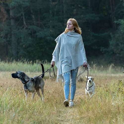 Hundeauslaufgebiet-Thorsten Ophey Fotografie-Bild