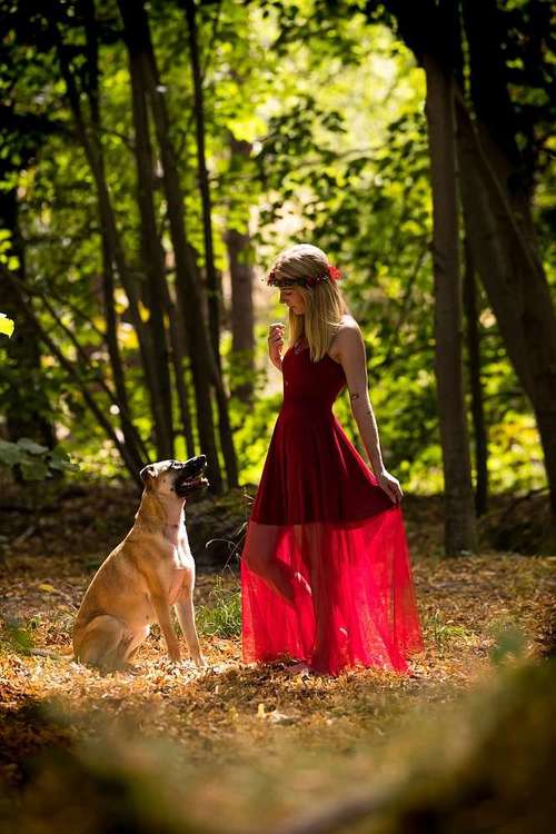 Hundeauslaufgebiet-Thorsten Ophey Fotografie-Bild