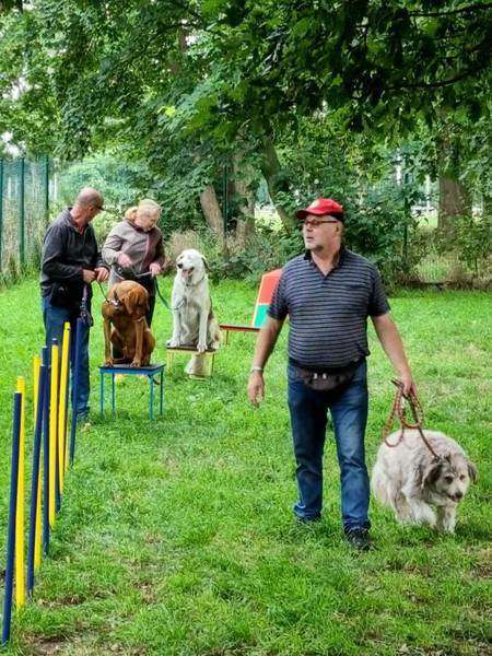 Hundeauslaufgebiet-4-Pfotentreff Meppen und Umgebung e.V.-Bild