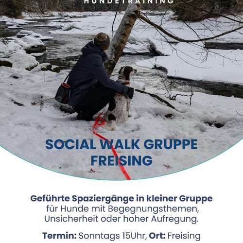 Hundeauslaufgebiet-DogRounder Hundetraining-Bild