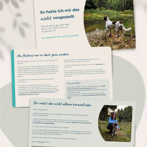 Hundeauslaufgebiet-DogRounder Hundetraining-Bild