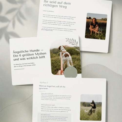 Hundeauslaufgebiet-DogRounder Hundetraining-Bild