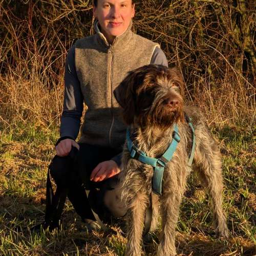 Hundeauslaufgebiet-DogRounder Hundetraining-Bild