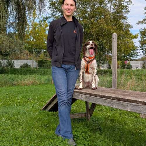 Hundeauslaufgebiet-DogRounder Hundetraining-Bild