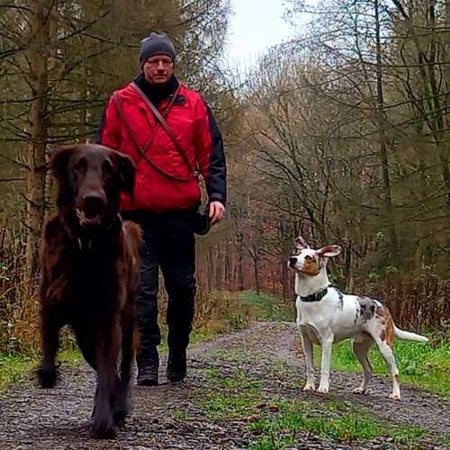 Hundeauslaufgebiet-Gassi-Service Fellnasenrunde-Bild
