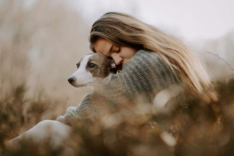 Hundeauslaufgebiet-Leos photo diaries Tierfotografie-Bild