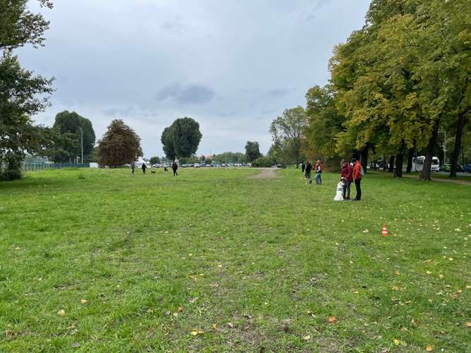 Hundeauslaufgebiet-DogWorker Dresden-Bild