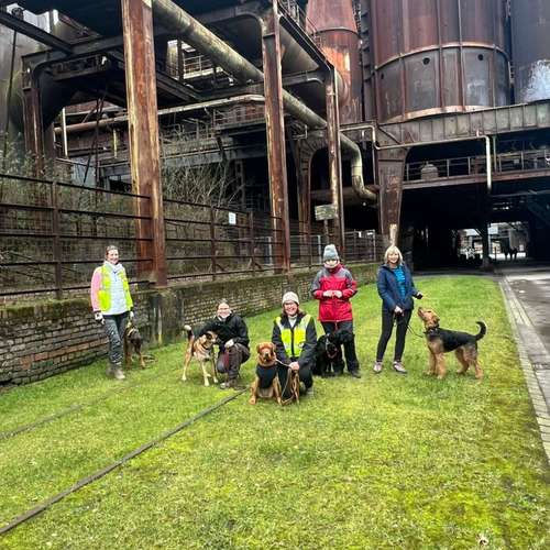 Hundeauslaufgebiet-MANTRAIL[er]LEBEN-Bild