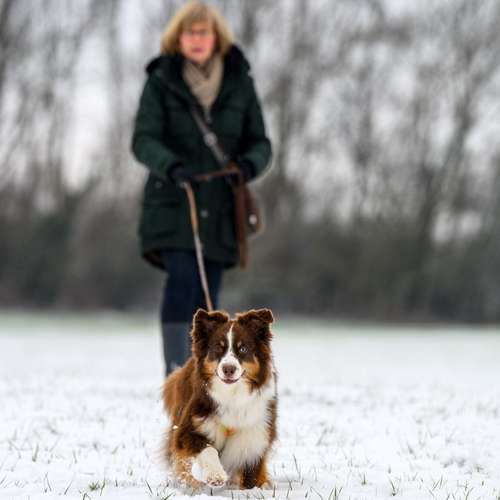 Hundeauslaufgebiet-MANTRAIL[er]LEBEN-Bild