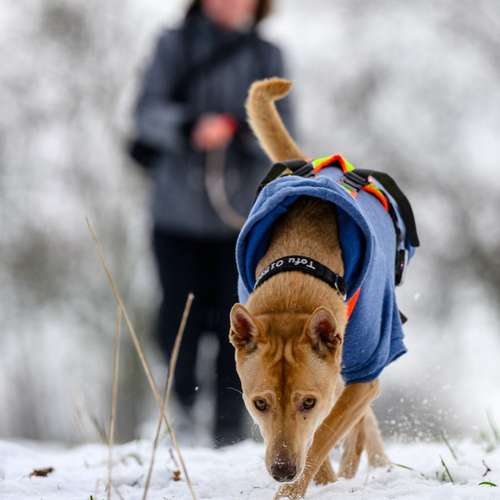 Hundeauslaufgebiet-MANTRAIL[er]LEBEN-Bild