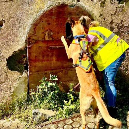 Hundeauslaufgebiet-MANTRAIL[er]LEBEN-Bild