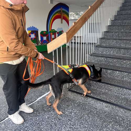 Hundeauslaufgebiet-MANTRAIL[er]LEBEN-Bild