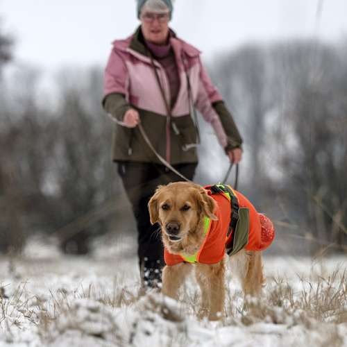 Hundeauslaufgebiet-MANTRAIL[er]LEBEN-Bild