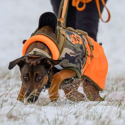 Hundeauslaufgebiet-MANTRAIL[er]LEBEN-Bild