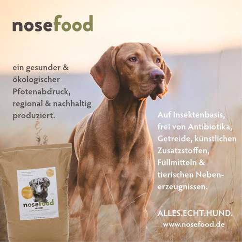 Hundeauslaufgebiet-nosefood Die Hundefutter-Manufaktur-Bild