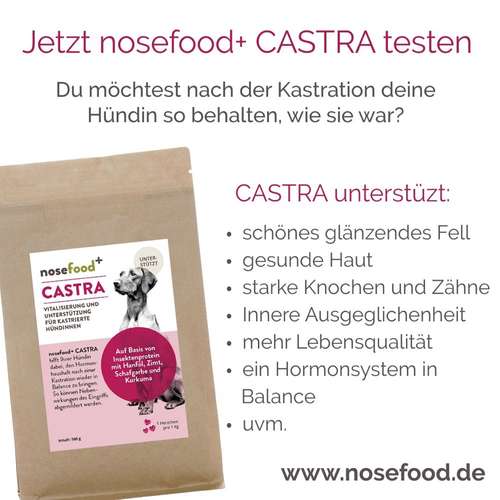 Hundeauslaufgebiet-nosefood Die Hundefutter-Manufaktur-Bild